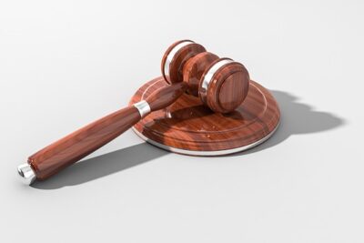 copia de la Constitución