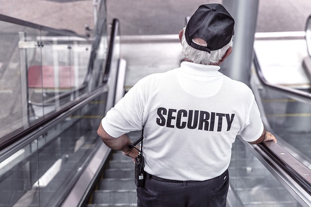 seguridad ciudadana